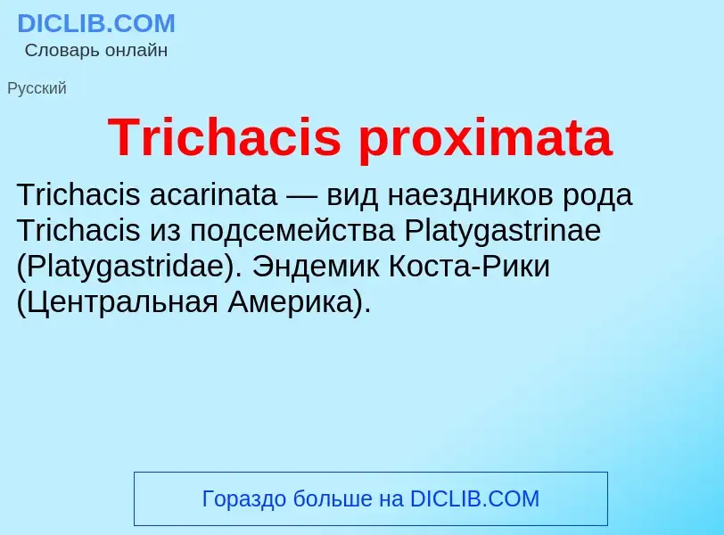 Wat is Trichacis proximata - definition