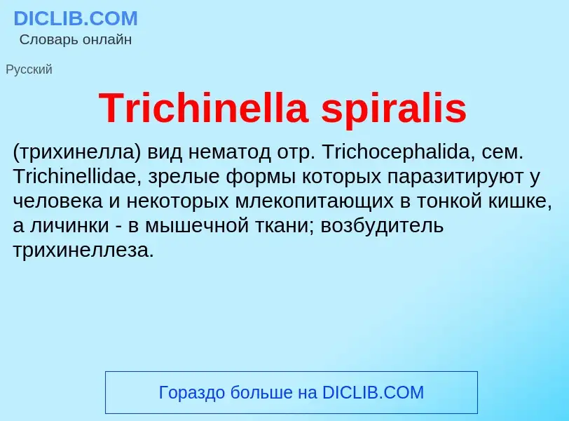 Что такое Trichinella spiralis  - определение