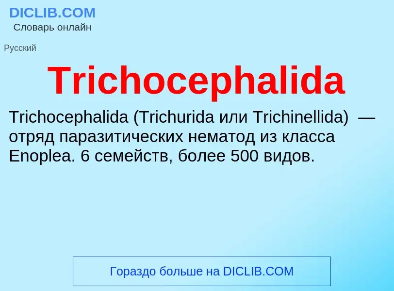 Wat is Trichocephalida - definition