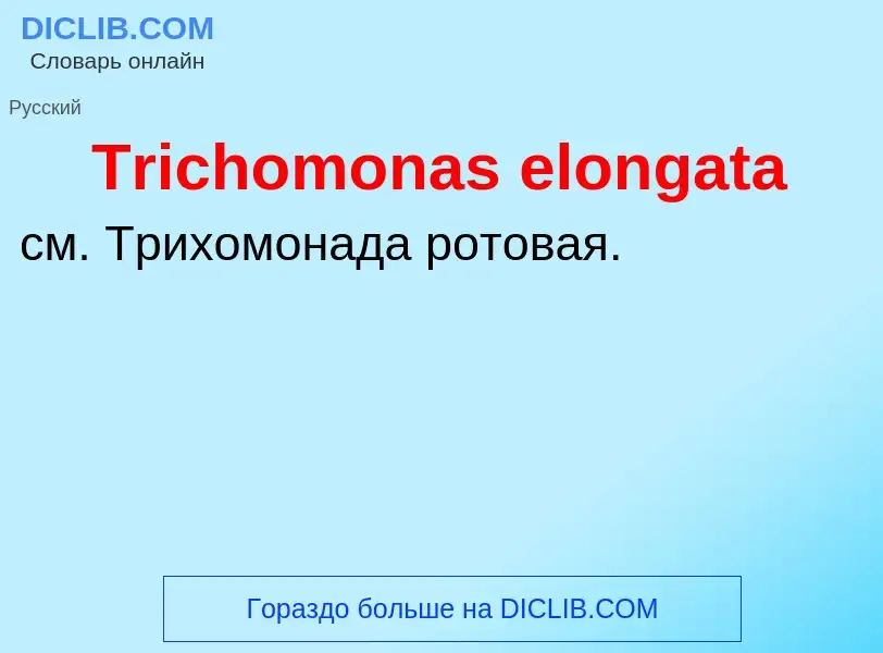 Wat is Trichomonas elongata - definition