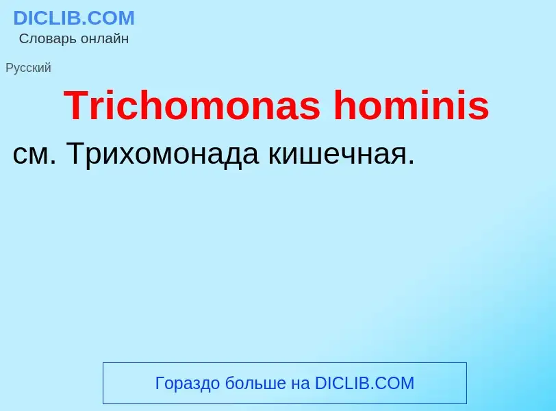 Что такое Trichomonas hominis - определение