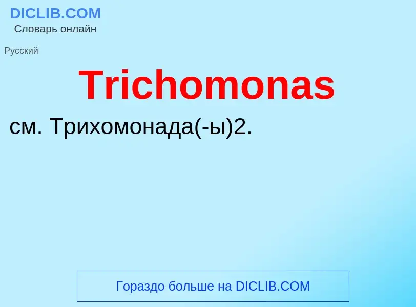 Что такое Trichomonas - определение