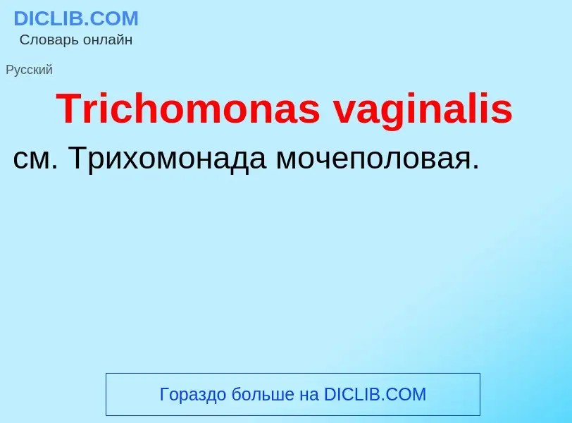 Wat is Trichomonas vaginalis - definition