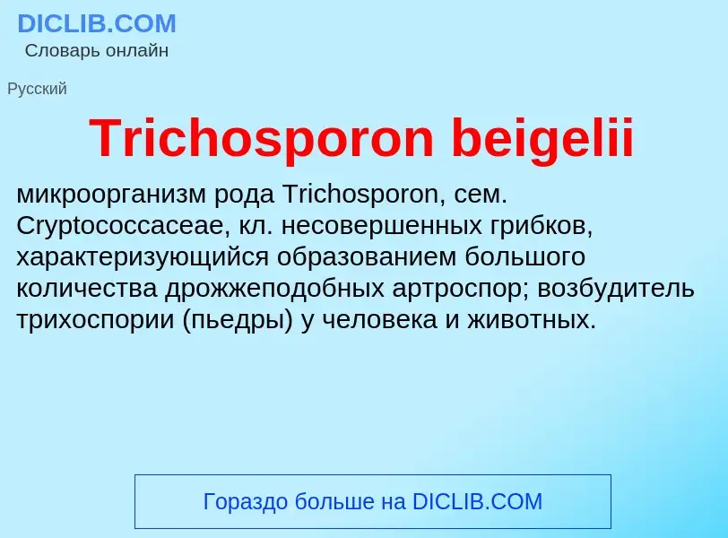 Что такое Trichosporon beigelii - определение