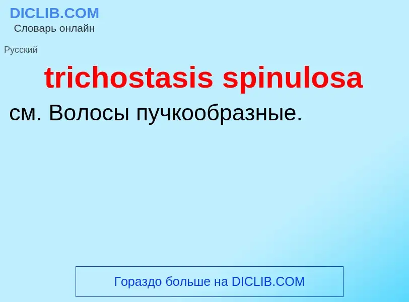 Что такое trichostasis spinulosa - определение