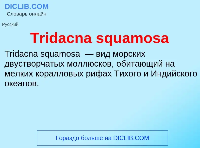 Что такое Tridacna squamosa - определение