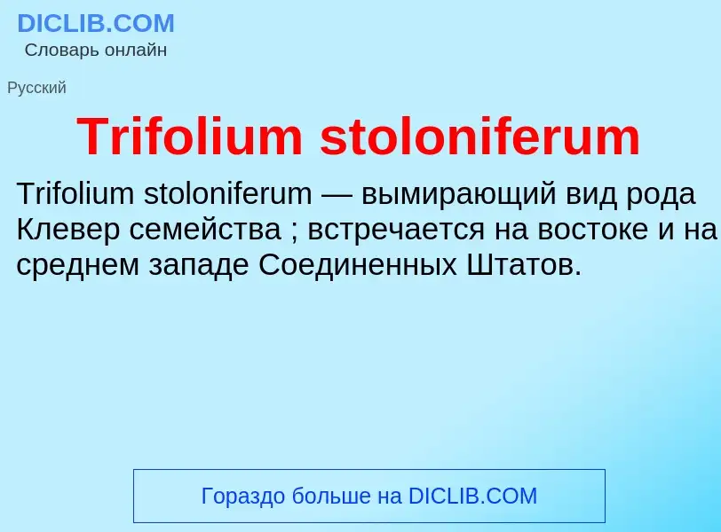 Что такое Trifolium stoloniferum - определение