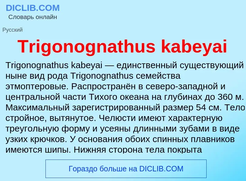 Wat is Trigonognathus kabeyai - definition