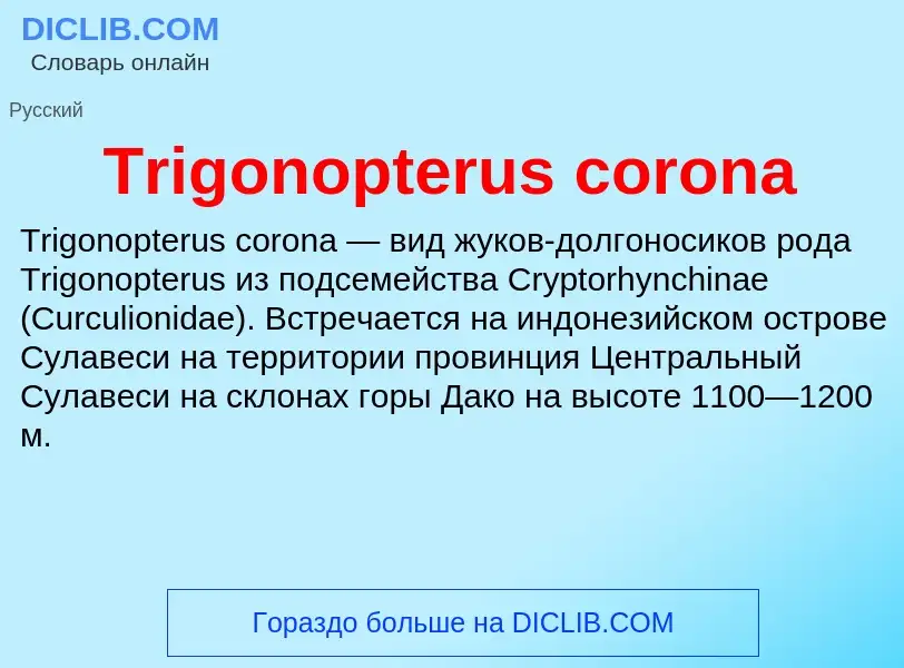 Что такое Trigonopterus corona - определение