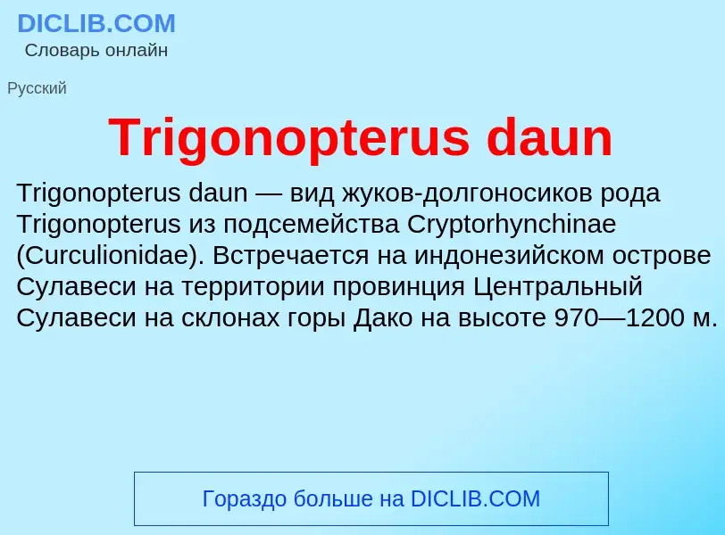 Wat is Trigonopterus daun - definition