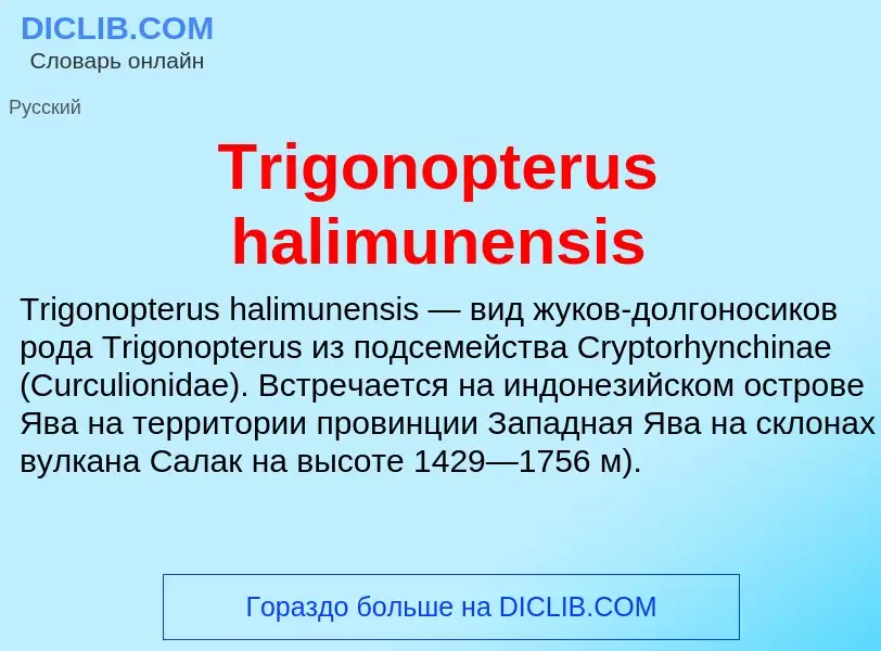 Что такое Trigonopterus halimunensis - определение