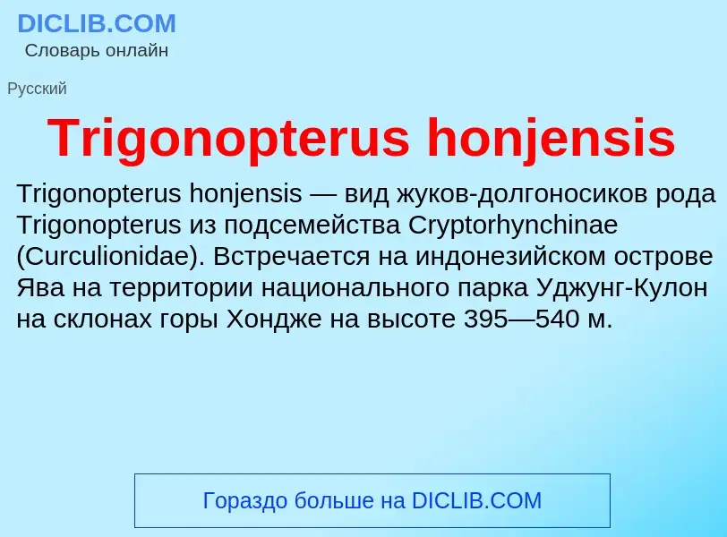 Что такое Trigonopterus honjensis - определение