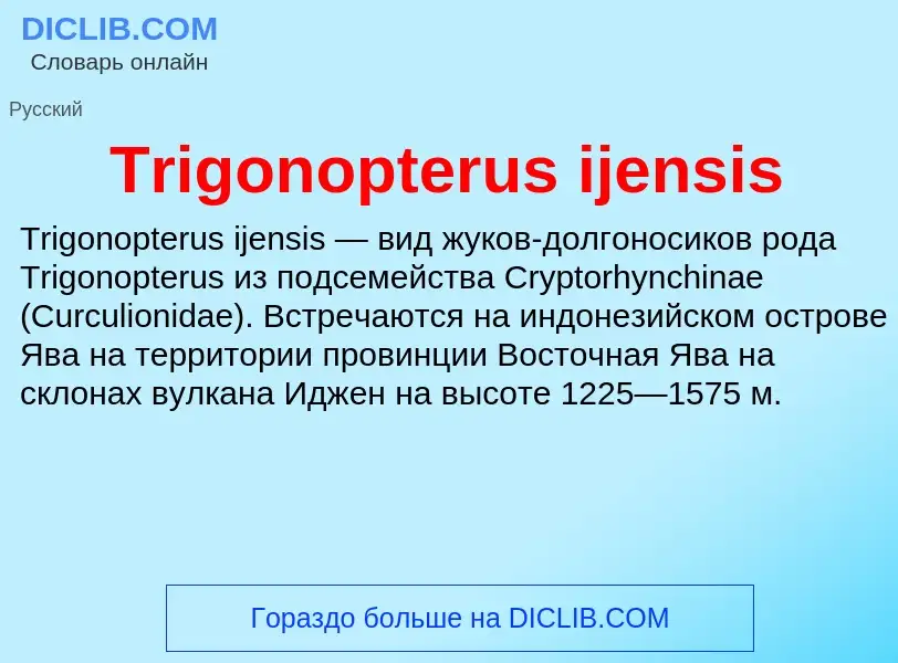 Что такое Trigonopterus ijensis - определение