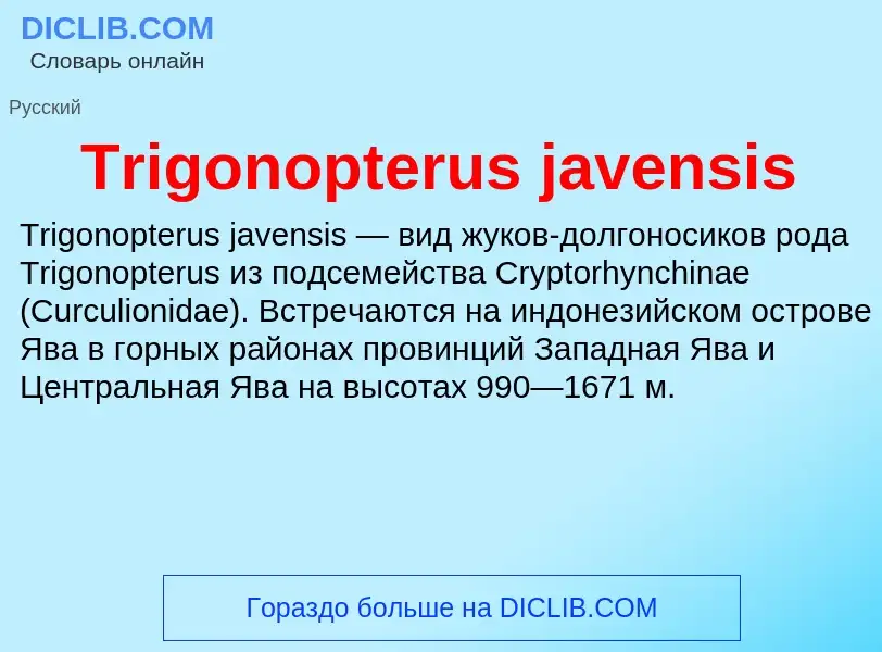 Что такое Trigonopterus javensis - определение