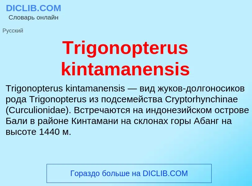 Что такое Trigonopterus kintamanensis - определение