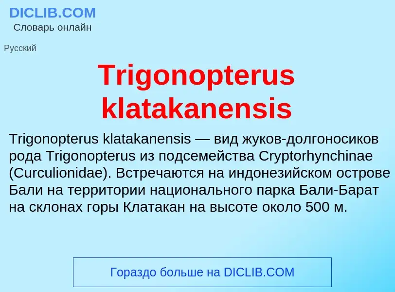 Что такое Trigonopterus klatakanensis - определение