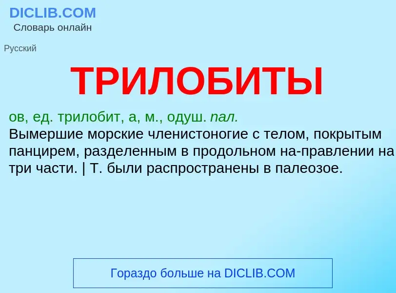 Was ist ТРИЛОБИТЫ - Definition