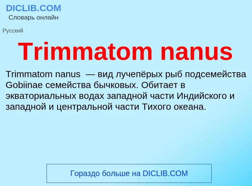 Что такое Trimmatom nanus - определение