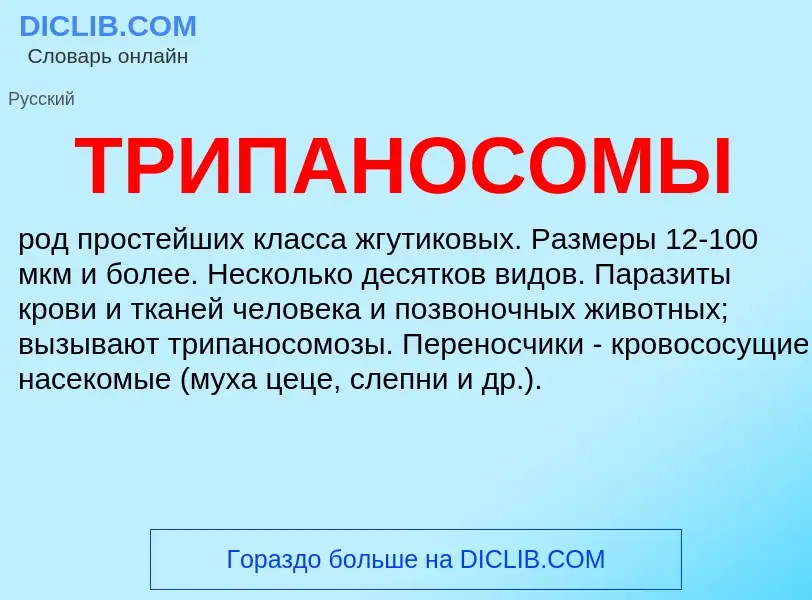 O que é ТРИПАНОСОМЫ - definição, significado, conceito