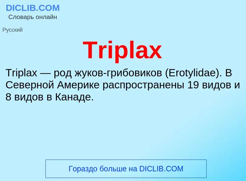 Что такое Triplax - определение