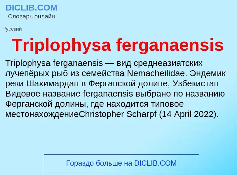 Что такое Triplophysa ferganaensis - определение