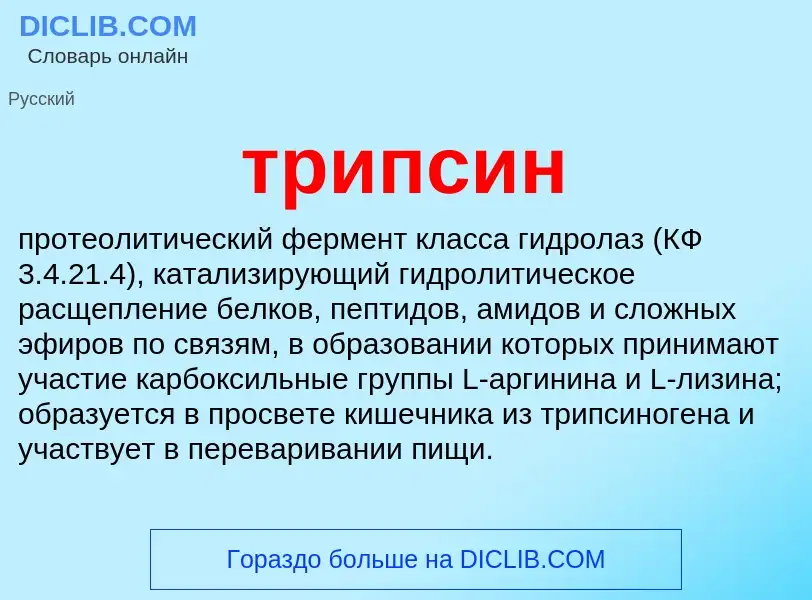 What is трипсин - meaning and definition