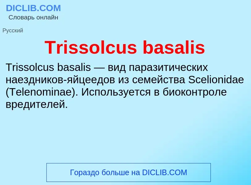 Что такое Trissolcus basalis - определение