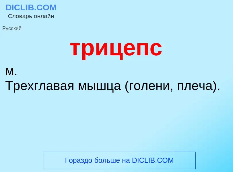 O que é трицепс - definição, significado, conceito