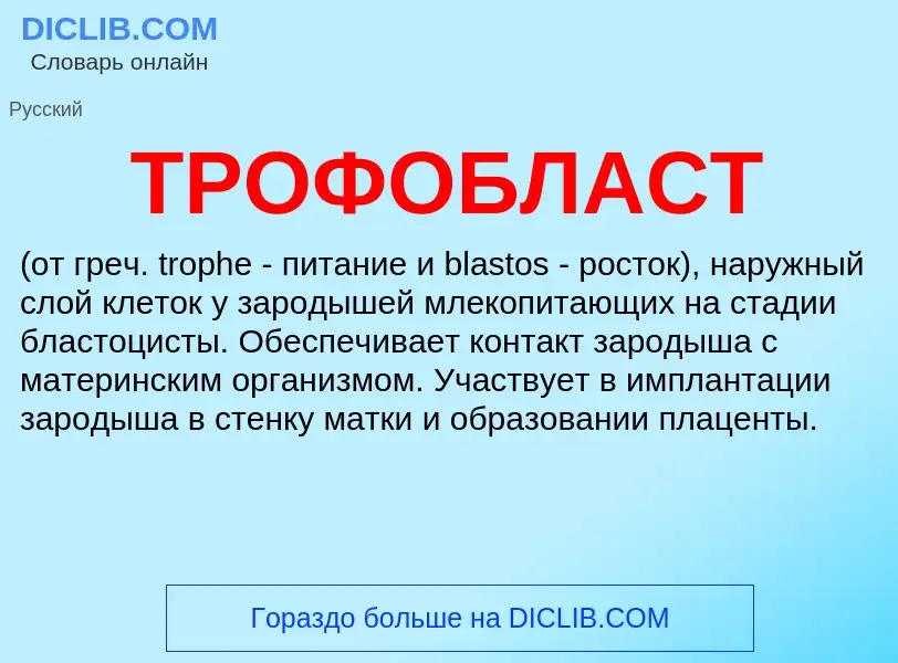 What is ТРОФОБЛАСТ - meaning and definition