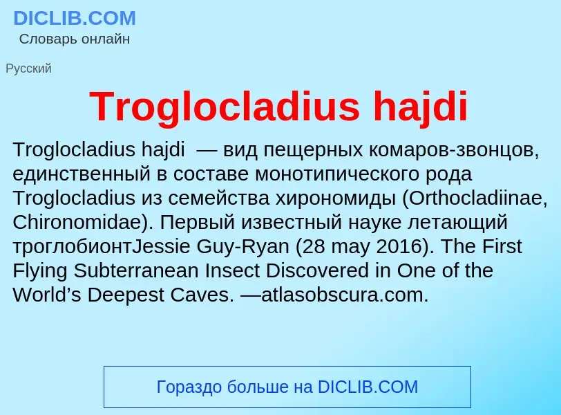 Что такое Troglocladius hajdi - определение