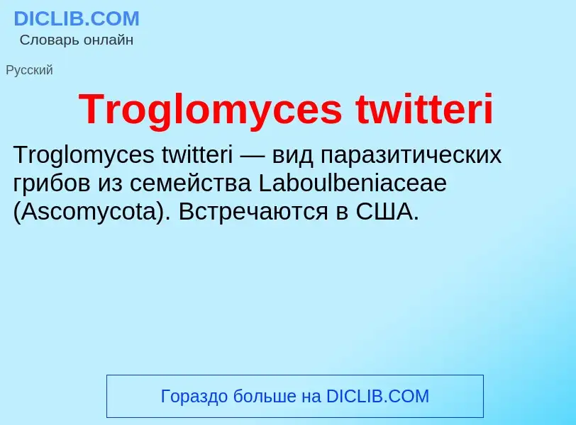 Что такое Troglomyces twitteri - определение