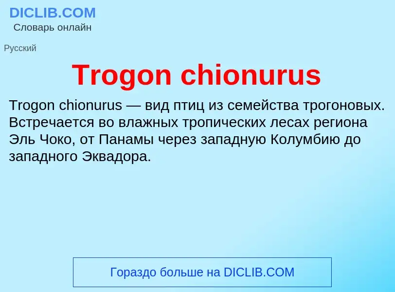 Что такое Trogon chionurus - определение