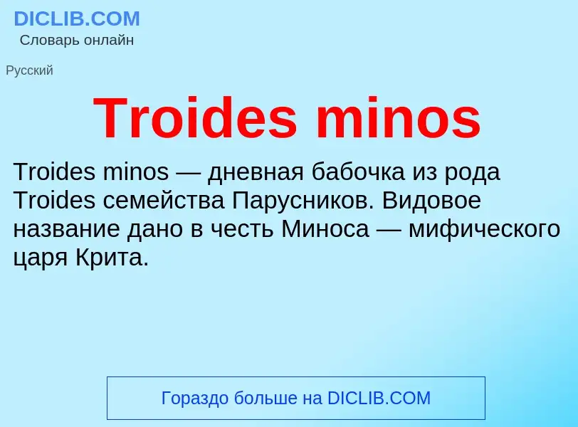 Wat is Troides minos - definition