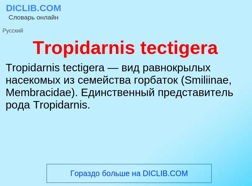 Wat is Tropidarnis tectigera - definition