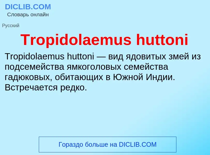 Wat is Tropidolaemus huttoni - definition