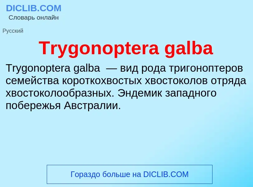 Wat is Trygonoptera galba - definition