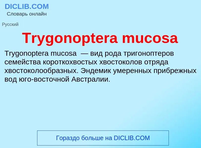 Wat is Trygonoptera mucosa - definition