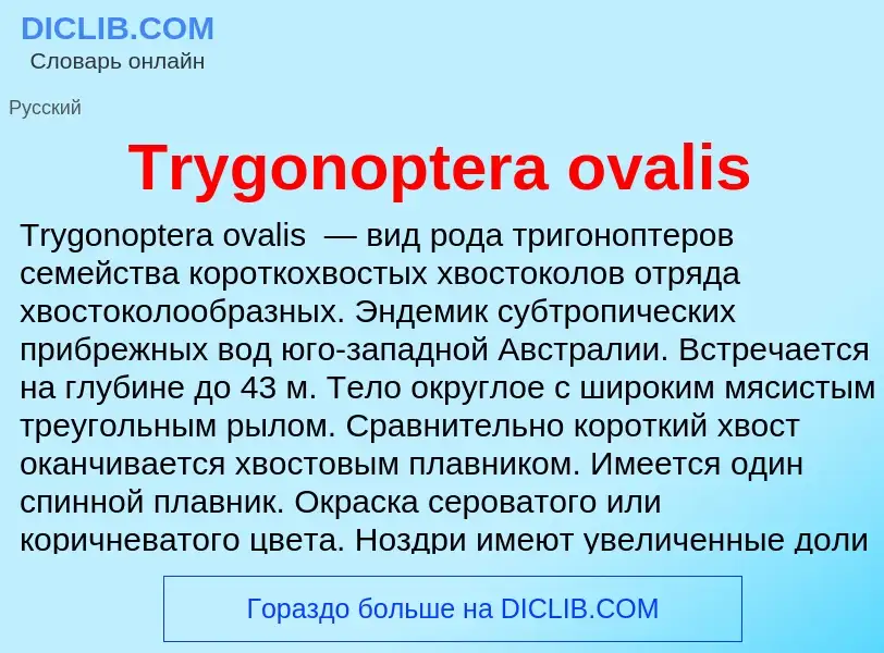 Wat is Trygonoptera ovalis - definition