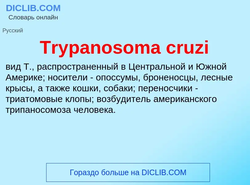 Wat is Trypanosoma cruzi - definition