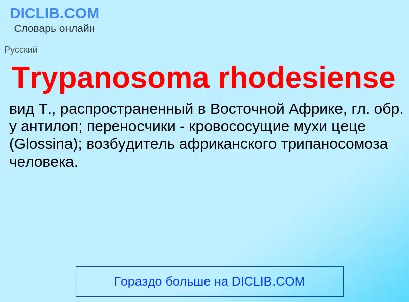 What is Trypanosoma rhodesiense - meaning and definition