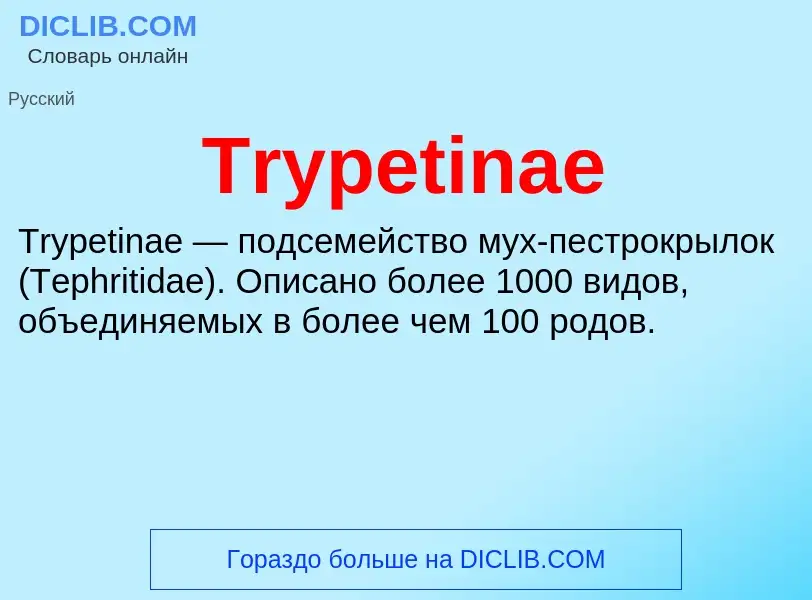 Wat is Trypetinae - definition