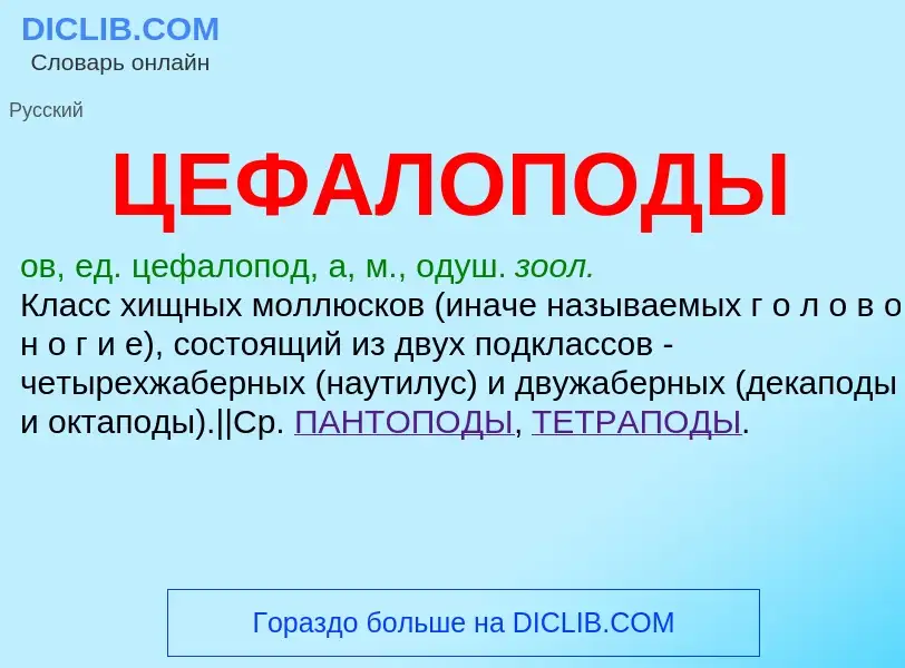 O que é ЦЕФАЛОПОДЫ - definição, significado, conceito