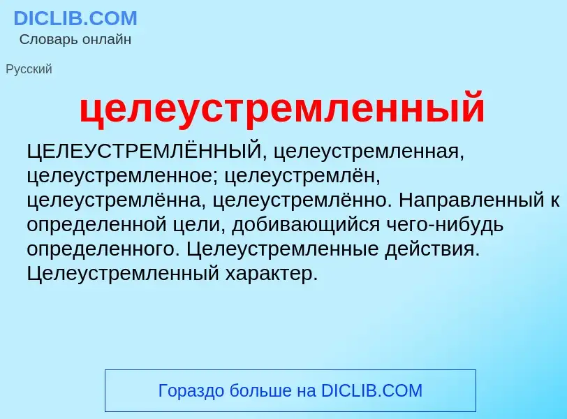 Wat is целеустремленный - definition