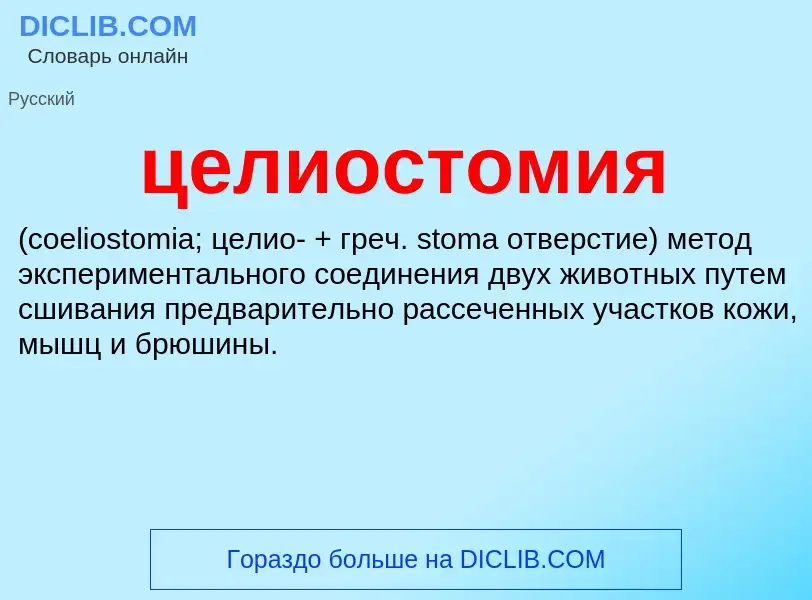 What is целиостомия  - definition