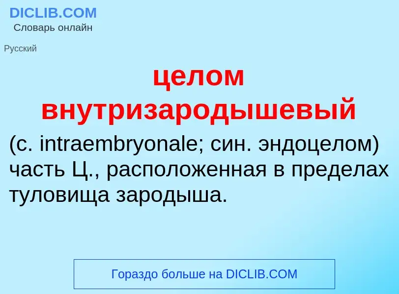 What is целом внутризародышевый  - definition