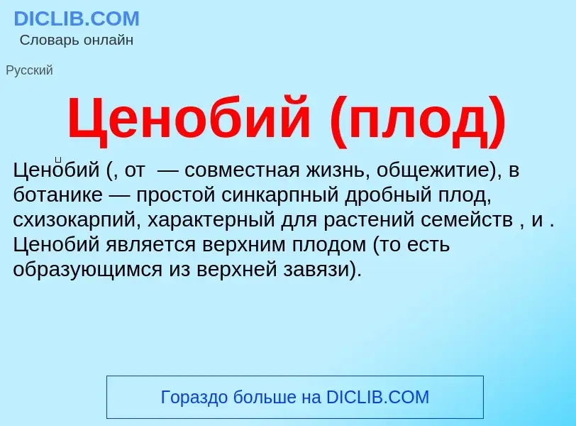 ¿Qué es Ценобий (плод)? - significado y definición