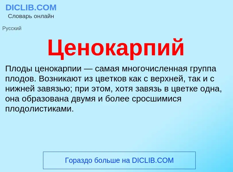 ¿Qué es Ценокарпий? - significado y definición