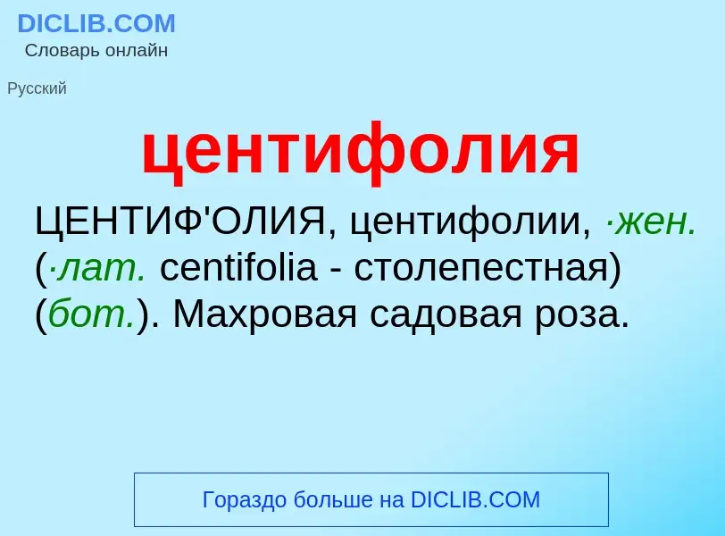 What is центифолия - meaning and definition