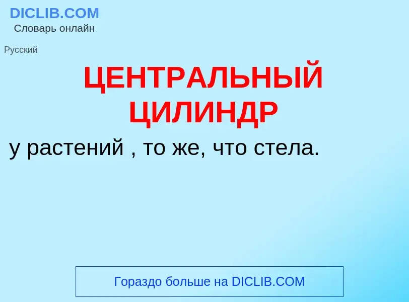 O que é ЦЕНТРАЛЬНЫЙ ЦИЛИНДР - definição, significado, conceito