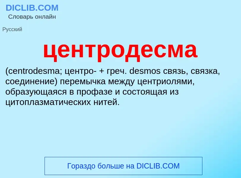 What is центродесма  - meaning and definition